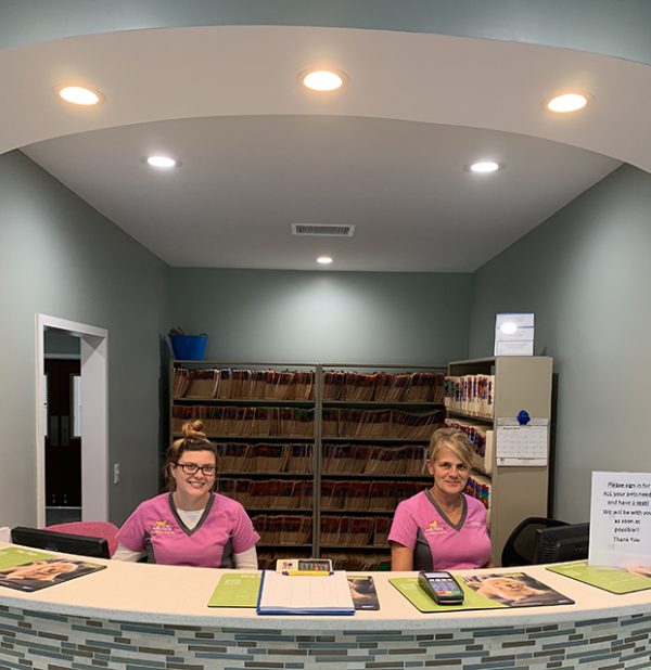 Contact Us Williamston, NC Shelton's Veterinary Hospital