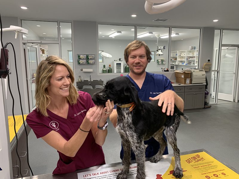 to Shelton's Veterinary Hospital in Williamston, NC