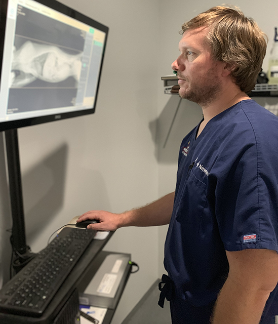 Veterinary Services Williamston, NC Shelton's Veterinary Hospital