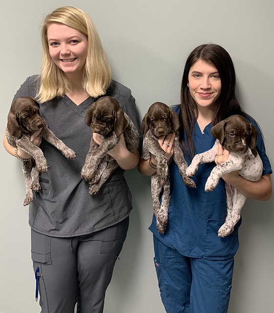 Meet Our Team Williamston, NC Shelton's Veterinary Hospital